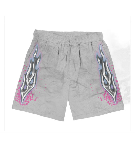 Hidden Heart Tour shorts